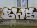 DSC00731